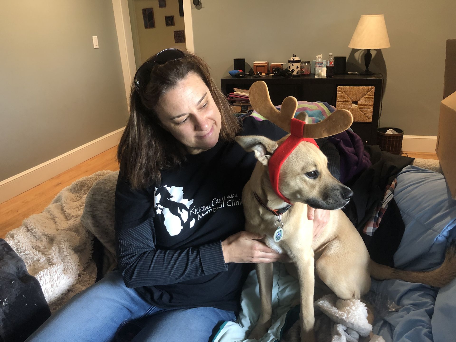 Posey wearing reindeer antlers indoors
